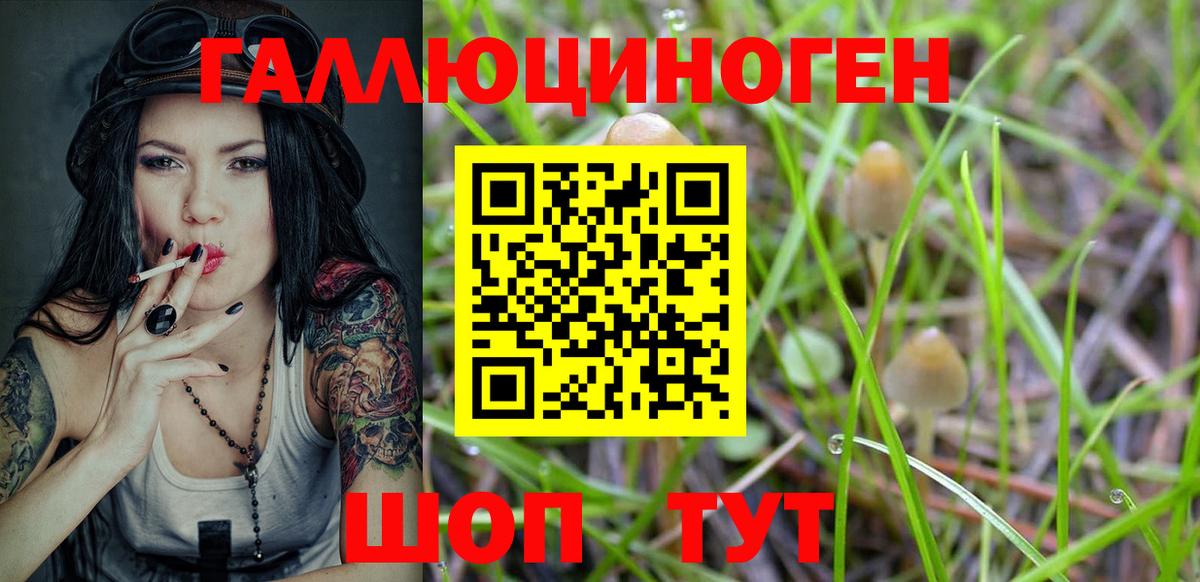 Холмск  Псилоцибиновые грибы Psilocybine cubensis  Вход с VPN 